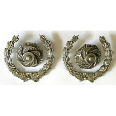 Divisional Officer rank badges 