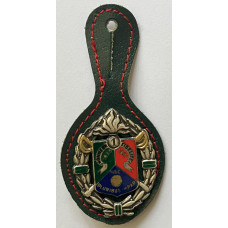1st Foreign Legion Cavalry Regiment unit badge