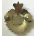 City of Edmonton Police cap badge