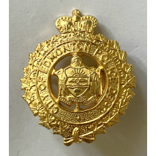 City of Edmonton Police officer's collar badge