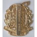 Berkshire and Westminster Dragoons cap badge 