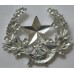 The Cameronians (Scottish Rifles) cap badge 