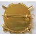 Army Foundation College cap badge 