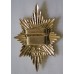 Worcestershire and Sherwood Foresters Regiment valise badge (cross belt badge) 