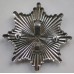 Blackburn Fire Brigade cap badge 