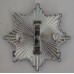 Shropshire Fire Brigade cap badge