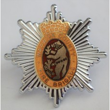 Warwick County Fire Brigade cap badge 