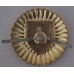 Belarus Police cap badge 