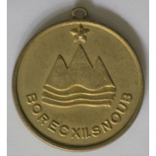 Commemorative Medal for the 12th Slovenian Brigade 1943