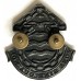 Army Ordnance Services cap badge