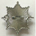 West Midlands Fire Service cap badge 