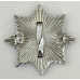 Clwyd Fire Brigade cap badge 