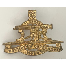 Regiment President Steyn beret badge