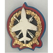 10th Anti Aircraft Regiment cap badge 