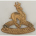 South African Cadet Corps cap badge