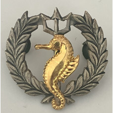Navy Independent Ships and Air-Sea Rescue Flotilla breast badge
