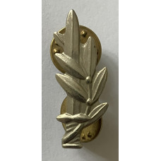 Officer Training School Graduate Commander pin