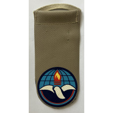 Israeli Air Force Hafetz Haim 501st Air Base unit tag 