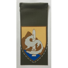 Israeli Army 80th "Edom" Territorial Division unit tag