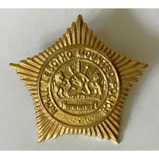 Royal Lesotho Mounted Police officer's cap badge 