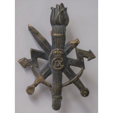 Zealand Signals Regiment beret badge 