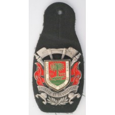 Nimes Fire Brigade unit badge