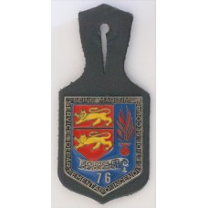 Seine Maritime Fire Brigade unit badge 