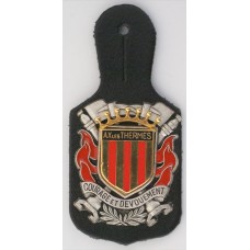 Ax les Thermes Fire Brigade unit badge 