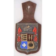 Valentigney Fire Brigade unit badge 