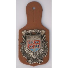 Saint Jean de Losne Fire Brigade unit badge 