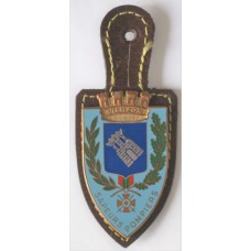 Vierzon Fire Brigade unit badge 