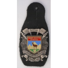 Saint Martin d'Heres Fire Brigade unit badge