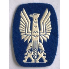 Communist era Citizen's Militia Volunteer Reserve beret badge