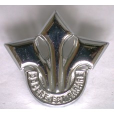 Corps of Professional Officers cap badge