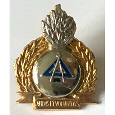 Bophuthatswana Army Engineers Cap Badge