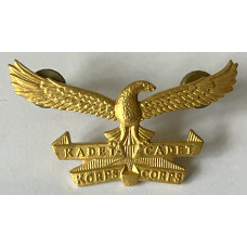 Air Force Cadet Corps beret badge