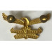 Air Force Cadet Corps beret badge