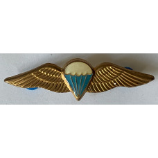 South African Army Basic Parachutist jump wings