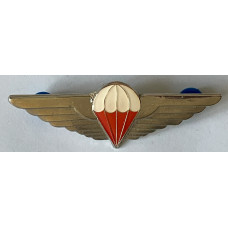 Ciskei Army Freefall Parachutist jump wings