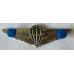 Ciskei Army Freefall Parachutist jump wings