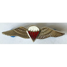 South African Army Freefall Parachutist jump wings