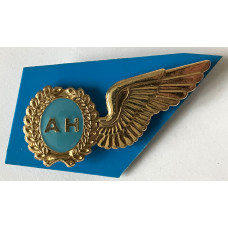 Air Force Air Hostess gold class wing