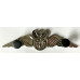Air Force Pilot wings, silver class