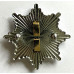 Derbyshire Fire Service cap badge 