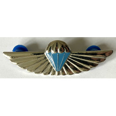 South African Qualified Supply Instructor wings
