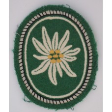 Bundeswehr 1st Mountain (Gebirgsjäger) Division HQ troops sleeve patch 