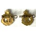 Royal Army Dental Corps officer's collar badges