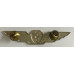 Air Force Flight Paramedic wings