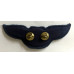 Air Force Pilot Wings