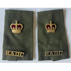 Royal Army Dental Corps Major rank slides 